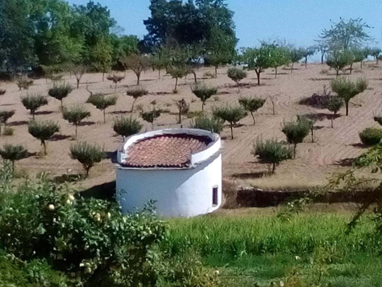 Casa Dos Pombais De Cacarelhos Rural Villa Екстериор снимка